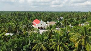 a house with a red roof in a field of palm trees at Homestay Bentre Coco Lodge in Ben Tre +29 photos