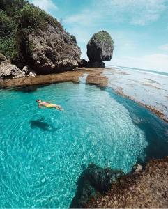 a dog laying in a pool of water on a beach at Aulea Siargao in General Luna