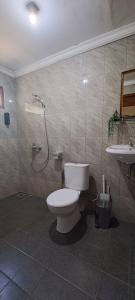 a bathroom with a toilet and a shower and a sink at Serongga guest house in Lebih