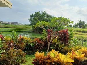 a garden with colorful plants and a rice field at Luka's Place - 1 bedroom in Cemagi