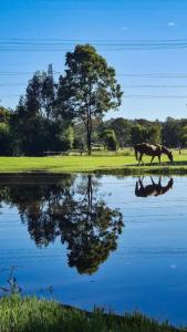 a horse walking in the water with a man and a horse at Tranquility Ranch by Tiny Away in Wolfdene