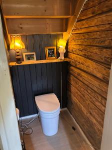 a bathroom with a toilet in a wooden wall at 1850 Old Farmhouse Retreat with jacuzzi and sauna in Eidsvoll +37 photos