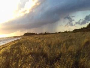 a storm on the beach with a field of grass at 5 person holiday home in Rødby-By Traum in Kramnitse