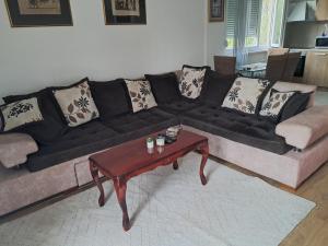 a black couch and a coffee table in a living room at Apartman Palma in Belgrade +4 photos