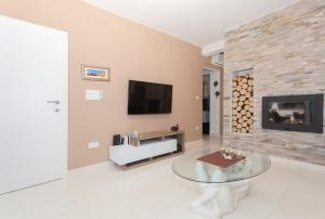 a living room with a fireplace and a tv at Apartments Svetec in Vir