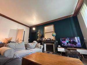 Una sala de estar con dos sofás y un televisor. en Grande maison Albuconis, 