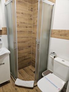 a shower stall in a bathroom with a toilet at Apartments Peka in Dušanovac (historical) +12 photos