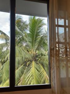 a view of a palm tree from a window at Stay Happy at Chathurni Villa, Ahangama in Ahangama +22 photos