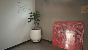 ソウルにあるwith gAmの白壺の植物