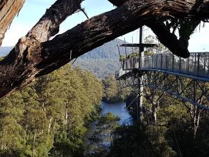 a view of a river from a tree at Tahune AirWalk Cabin and Lodge in Geeveston