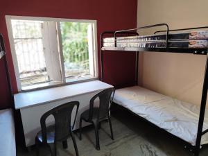 Ένα ή περισσότερα κρεβάτια σε δωμάτιο στο Urban Ladies Hostel at Chinar Park