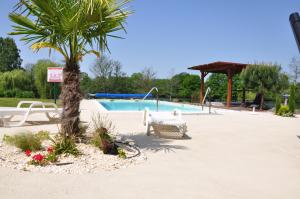 una piscina con una palmera y un columpio en La Maison du Lac, en Thionne