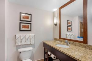 a bathroom with a toilet and a sink and a mirror at Comfort Inn & Suites Sayre in Sayre