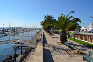 a row of benches and palm trees next to a marina at BJB Apartamento in Olhão