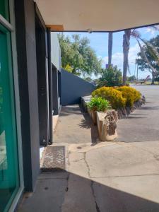 una acera al lado de un edificio con plantas en él en RiVERSide APARTMENTS, 