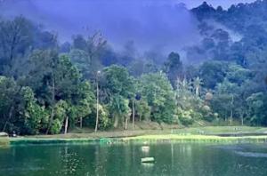 a lake with trees and a mountain in the background at 3 Tower Ampang Suite in Kuala Lumpur