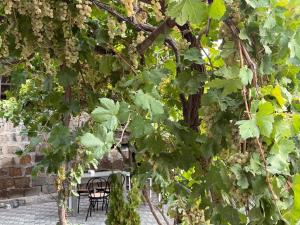 un montón de uvas creciendo en una pared en Atom Haus, en Tsakhkashen