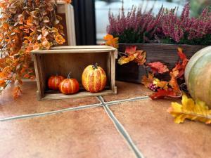 twee pompoenen in een houten doos op de vloer bij Akme APARTMENTS & ROOMS & FREE PARKING in Gdańsk