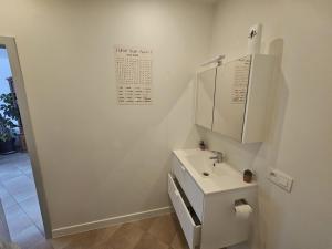 Ένα μπάνιο στο cozy studio Brussels airport