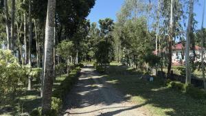 A garden outside Sonargaon Inn Még 9 kép