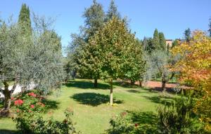 un jardin avec des arbres, de l'herbe et des fleurs dans l'établissement 1 Bedroom Nice Apartment In Casole D'elsa, à Pieve a Scuola