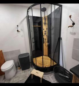 a bathroom with a shower with a toilet at Appartement rdc maison Ed Den in Tauves