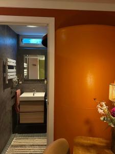 a bathroom with a sink and a mirror at Tiny-House van zeecontainers bij het bos in Oranjewoud