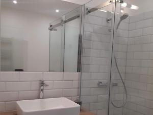 a bathroom with a shower and a white sink at Lieblingsplatz am Kurpark in Brilon