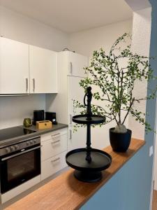 a kitchen with a table with a plant on a counter at Zentral und Stilvoll Nahe Kurpark und Bali Therme in Bad Oeynhausen