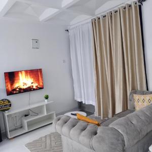 Ongata Rongai にあるFara Luxury homesのソファと暖炉のあるリビングルーム