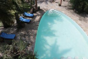 Bazén v ubytování ParadiseLost nebo v jeho okolí