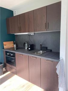 a kitchen with wooden cabinets and a sink at The Blue Jack - studio near the Casino in Le Havre