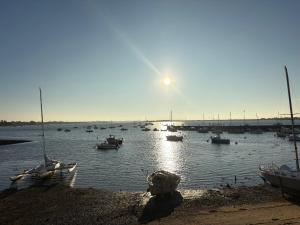 a group of boats sitting in the water at Le Cocon de Port-Louis in Port-Louis