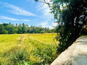 Φωτογραφία από το άλμπουμ του Nirvana Lodges σε Kumbalgama