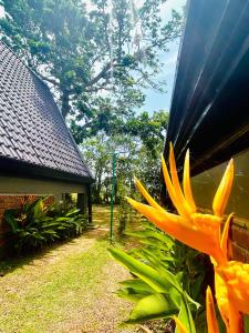 Φωτογραφία από το άλμπουμ του Nirvana Lodges σε Kumbalgama +8 φωτογραφίες