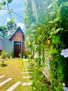 Zahrada ubytování Nirvana Lodges