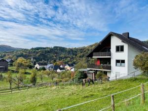 a horse grazing in a field next to a house at Urlaub in der Eifel am Rursee - Wita31 in Einruhr
