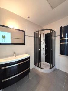 a bathroom with a shower and a sink at La longère du Moulin, logement T2 indépendant tout équipé avec cuisine, parking individuel avec portail, salon de jardin, belle grande chambre in Basse-Goulaine