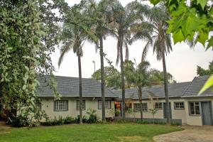 an exterior view of a house with palm trees at Newcastle Country Retreat in Newcastle