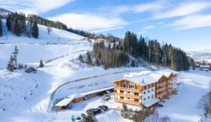 an aerial view of a ski lodge in the snow at Skylodge Alpine Homes in Haus im Ennstal +128 photos
