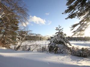 Un árbol de Navidad cubierto de nieve en un patio. en The Prince Karuizawa, en Karuizawa 35 fotos más