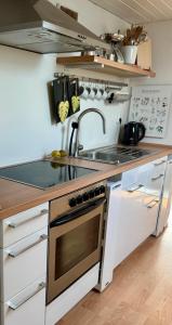 Kuchyň nebo kuchyňský kout v ubytování Dachgeschosswohnung in Weiherhammer