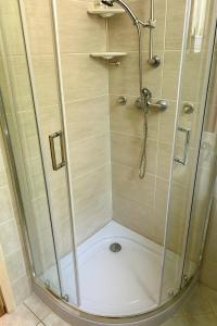 a shower with a glass door in a bathroom at Ana Marija Apartment - Vila Golf in Rogaška Slatina