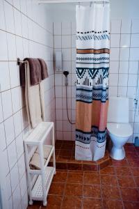 Koupelna v ubytování Hostel Ingeri