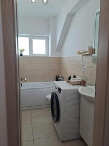 ein Badezimmer mit Waschmaschine und Waschbecken in der Unterkunft Nordic View Residence in Şelimbăr