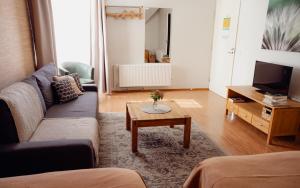 TV a/nebo společenská místnost v ubytování Hostel Ingeri
