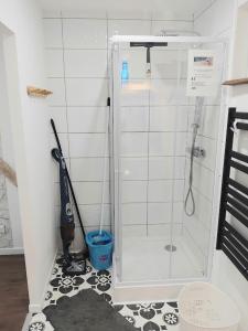 a bathroom with a glass shower with a mop at Appartement Parking Wifi Terrasse cosy in Condé-sur-Sarthe