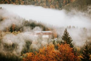 a building in the middle of a forest with fog at Hotel Partizán in Tale