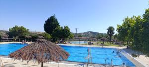a large swimming pool with people swimming in it at El hogar de Gregorio in Vilvestre