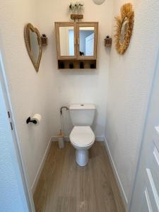 a small bathroom with a toilet and a mirror at Appt 4 pers, pied des pistes in Flumet